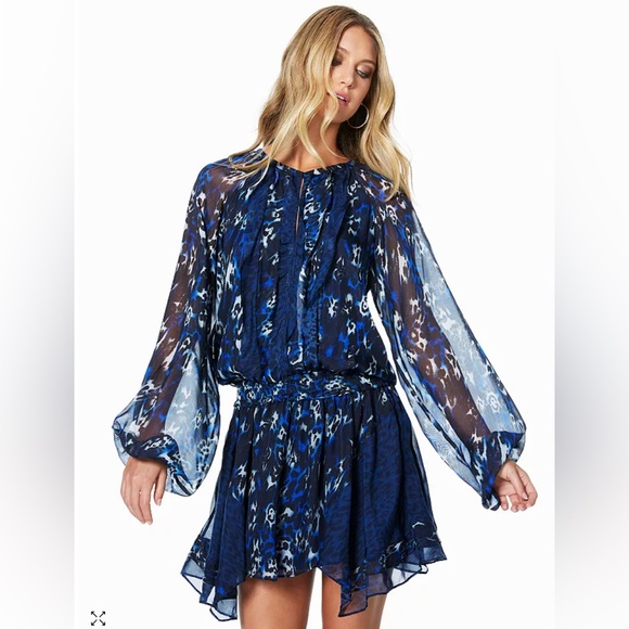 Ramy Brook Silk Animal-Print Dress - Picture 1 of 10